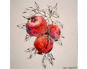 Pomegranate Art Sketch Original Artwork Pen and Ink Drawing Fruit Painting Landscape Sketch 8 by 8 inches by DariaRiabininaSpain