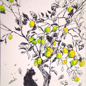 May include: A black cat sits beneath a lemon tree with green and yellow lemons. The tree is drawn in black ink and the lemons are colored in green and yellow.