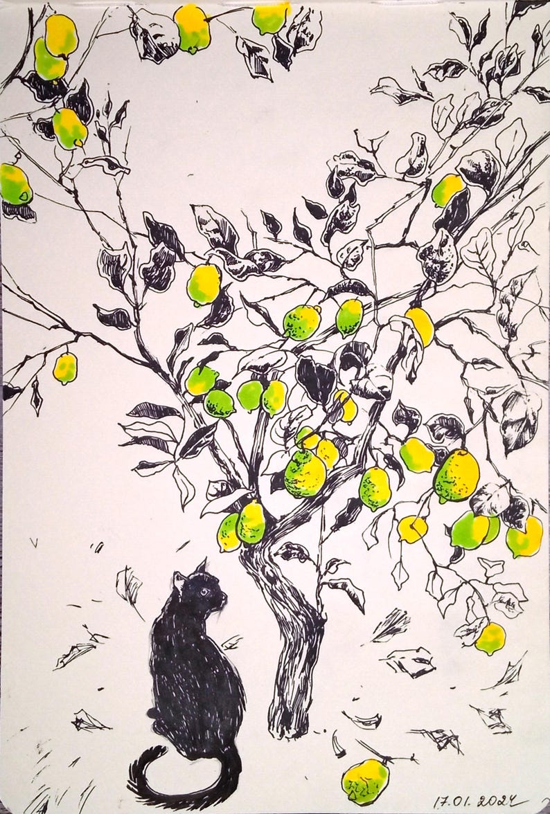 May include: A black cat sits beneath a lemon tree with green and yellow lemons. The tree is drawn in black ink and the lemons are colored in green and yellow.