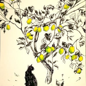 May include: A black cat sits beneath a lemon tree with green leaves and yellow lemons. The tree is drawn in black ink and the lemons are colored in yellow and green.