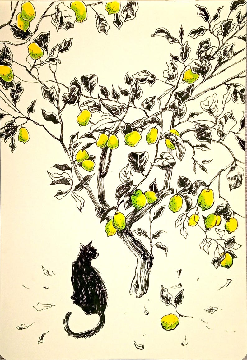 May include: A black cat sits beneath a lemon tree with green leaves and yellow lemons. The tree is drawn in black ink and the lemons are colored in yellow and green.