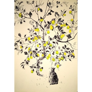 May include: A black and white ink drawing of a cat sitting under a lemon tree with yellow lemons. The cat is looking up at the lemons.