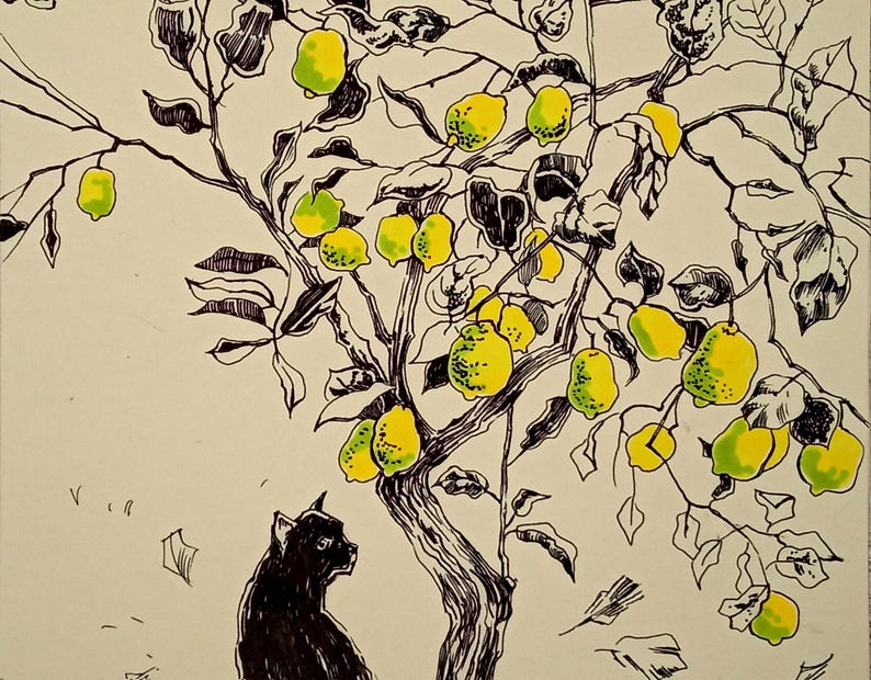 May include: A black cat sits near a lemon tree with green and yellow lemons. The tree is drawn in black ink with a white background.