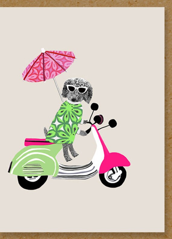 Poodle on Scooter Birthday Card Card for a Dog Lover Etsy