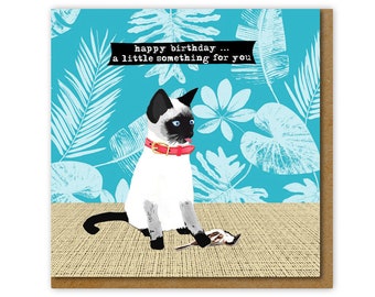 Funny card for cat owner, A Little Something for Your Birthday Card, Funny Card for Cat lover