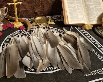 Echte Federn Vogel für Rituale und als Räucherfeder