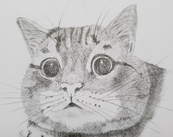 Dessin original au crayon graphite pour les amoureux des chats. Dessin d'un chat pour décoration intérieure ou à offrir.