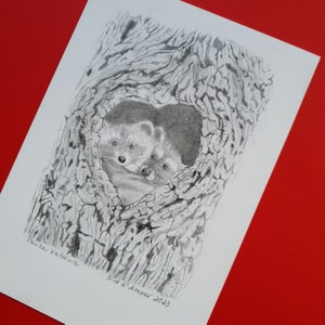 Graphite pencil drawing representing two raccoons curled up in their nest, illustration of animals in love, decoration illustration.