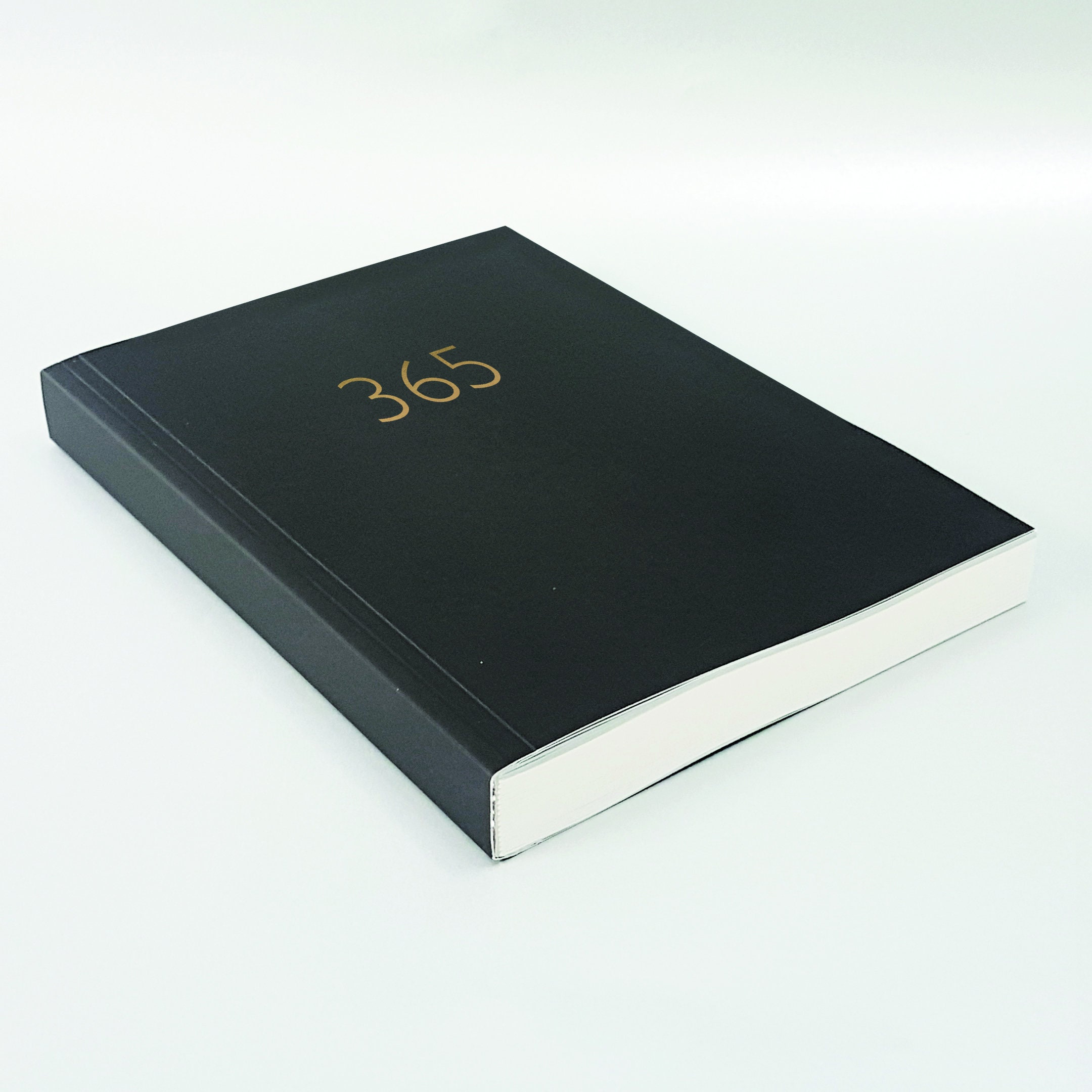 Daily Diary Planner 365 Undated Start Anytime Etsy UK