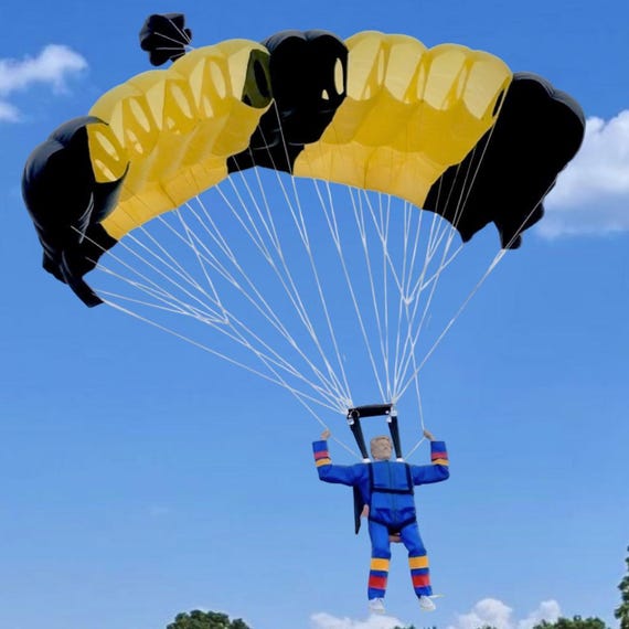 TEST PILOTS / PARACHUTE PARTY(ステッカー付)　LP Amazon.com : Westco 20' Parachute with 16 Handles: Heavy