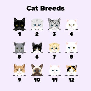 Sudadera para amantes de los gatos: Dibujo personalizado - Impresión de nombre personalizada imagen 5