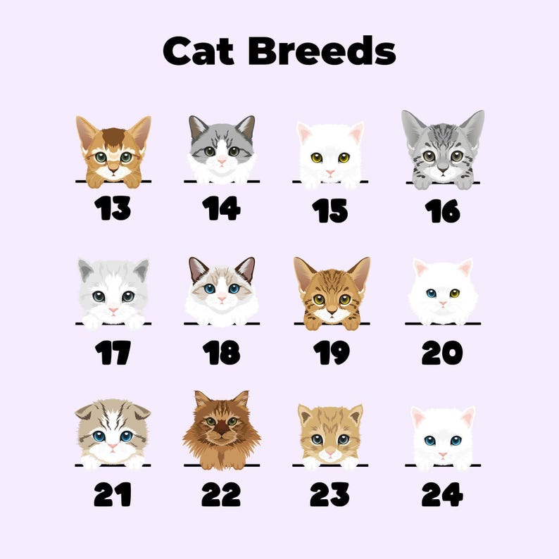 Sudadera para amantes de los gatos: Dibujo personalizado - Impresión de nombre personalizada imagen 6