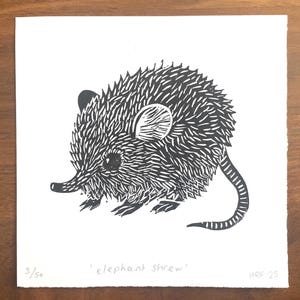 Linoprint babyolifant spitsmuis - schattige originele dieren mini-linosnedekunst, kleine blokprint, decor Afrikaanse dieren in het wild