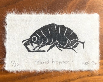 Sand Hopper Mini Lino Print - little crustacean linocut, cute wildlife art gift, marine life decor