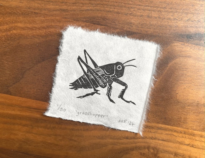 Grasshopper Mini Lino Print little insect linocut, cute wildlife art gift, garden bug decor image 4