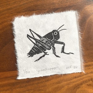 Grasshopper Mini Lino Print little insect linocut, cute wildlife art gift, garden bug decor image 2