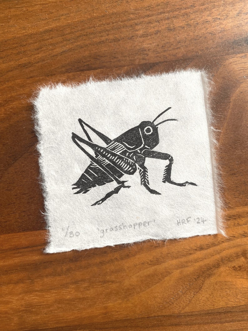 Grasshopper Mini Lino Print little insect linocut, cute wildlife art gift, garden bug decor image 2