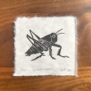 Grasshopper Mini Lino Print little insect linocut, cute wildlife art gift, garden bug decor image 3