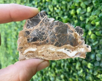 May include: A flat, irregular piece of polished stone featuring a dark brown, cracked upper section and a lighter tan lower section with distinct, horizontal white and cream-colored banded agate layers running through the center.