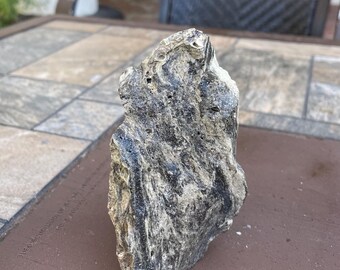 May include: A rough, irregularly shaped rock featuring a mottled color palette of dark charcoal gray, black, and light beige. The surface displays a textured, layered appearance with visible small pits and crevices throughout the stone's exterior.