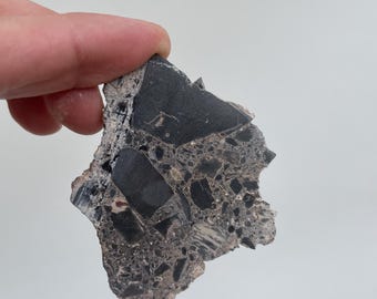 May include: A jagged, irregular fragment of dark gray and black breccia stone featuring a mosaic of angular mineral inclusions. The rock displays a high-contrast texture with varying shades of charcoal, slate, and light gray embedded within a dense matrix.