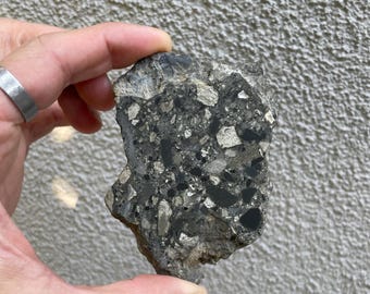 May include: A hand holds a piece of dark gray rock with a speckled pattern of various sizes and colors, including black, white, and silver. The rock's surface is rough and uneven, showcasing its natural texture.