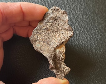 May include: A rough, irregularly shaped, metallic-looking rock with a textured surface. The rock is held in a person's hand. The rock has a dark, mottled appearance with a mix of light and dark brown tones. The object appears to be a meteorite.