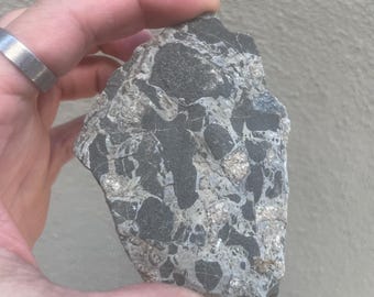May include: A rough, irregularly shaped rock with a dark gray and light gray mottled pattern. The rock has a mix of textures, with some areas appearing smooth and others rough. Metallic flecks are visible throughout the stone.