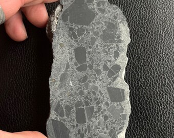 May include: A dark gray, irregularly shaped stone with a complex pattern of embedded dark gray and lighter gray fragments. The stone has a rough, uneven edge and is held by a hand against a black leather-like surface. The stone appears to be a meteorite.