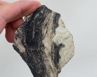 May include: A rough, irregularly shaped stone specimen featuring a distinct color contrast. The surface displays swirling patterns of deep black and charcoal gray minerals blended with sections of textured, porous off-white and beige mineral deposits.
