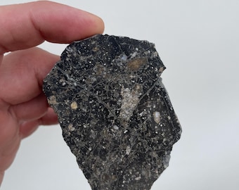 May include: A dark, irregular rock fragment featuring a black base color with a complex network of thin, light-colored veins and scattered white and tan mineral inclusions throughout the surface, displaying a rough, textured, and fractured appearance.