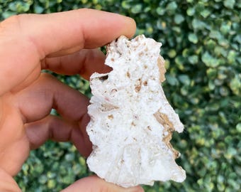 May include: A rough, irregular mineral specimen featuring a textured, porous white surface with scattered light brown inclusions. The stone has a jagged, crystalline structure with visible crevices and a layered, organic appearance throughout.