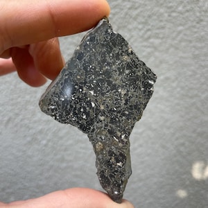 May include: A dark, irregularly shaped stone with a speckled pattern of white and gray. The stone is held between two fingers, showcasing its rough texture and natural appearance. The stone's surface has a glossy sheen.