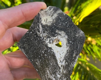 May include: A flat, irregularly shaped piece of dark gray and black stone featuring a prominent, swirling white mineral inclusion and a small, naturally occurring hole near the center, displaying a rough, textured surface with visible speckling.