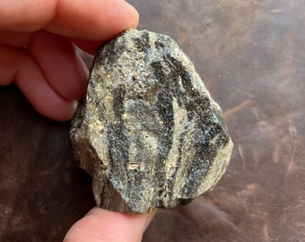 May include: A rough, irregularly shaped rock with a mix of gray and black colors. The rock has a textured surface with dark, linear patterns running through it. The rock is held in a hand.