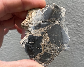May include: A piece of raw, natural stone with a mix of black, gray, and tan colors. The stone has a rough, textured surface with visible mineral veins and patterns. The stone is held in a hand.