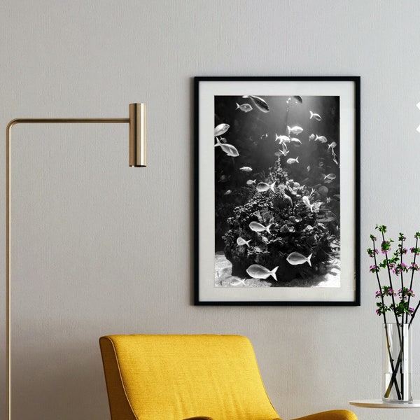 Black & White Underwater Photo Art Print Ocean Photo Ocean Sea Life Wall Art Photography Large Wall Art Underwater Wall Art Poster