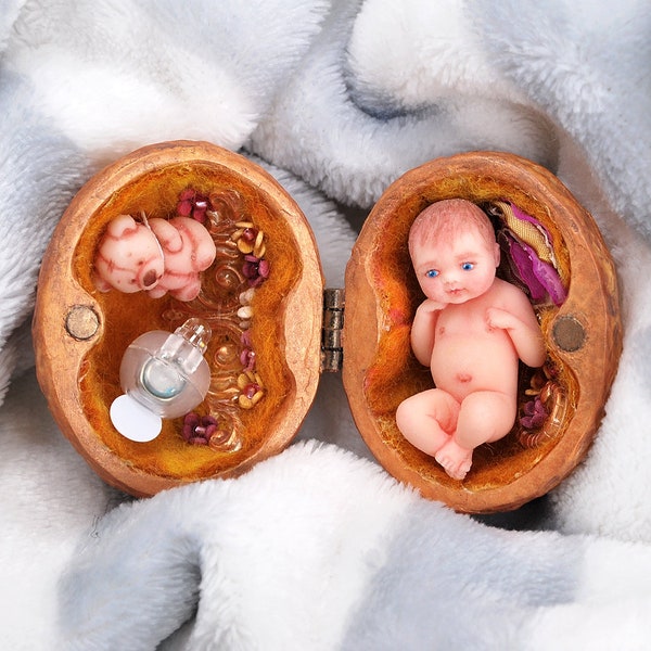Silicone baby dolls. Silicone mini baby, house in walnut. Tiny silicone baby. mini baby dolls, mini dolls. Miniature room inside a walnut.
