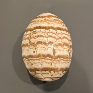 Polished Aragonite in Matrix Large Egg | Aragonite Matrix Polished | Heart Chakra | Love Compassion Egg | Fertility