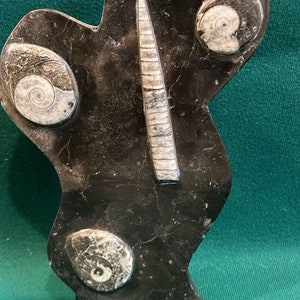 Stunning Orthoceras Stand-Up Fossil Display Large Ammonite & Orthoceras Moroccan Natural Polished Fossils Slab Sculpture Christmas Gift