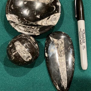 Fossils bundle Lot Set Ammonite Orthoceras Collection Natural Stone Gifts : Orthoceras bowl , orthoceras  cabochon , fossil sphere |