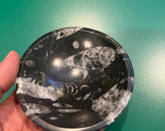 LARGE Black Orthoceras Ammonite Fossil Round Bowl 350 Million Years Old fossil lovers Gift Large fossil dish, ancient shell bowl ,stone bowl