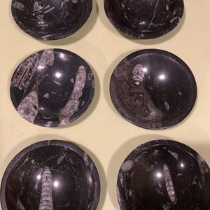 Bulk sale! 6 pcs Round Fossils Orthoceras Ammonite Bowls | 4 inch orthoceras bowl wholesale special offer great gift for fossil lovers