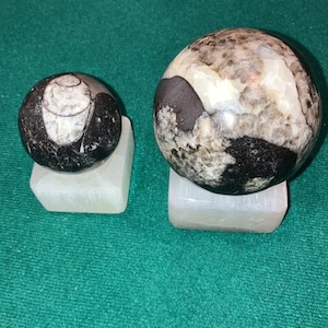 Large ORTHOCERAS FOSSIL SPHERE w/ stand or without you choose | Orthoceras Sphere Orb Ball Polished Fossil sphere Polished fossil Great Gift