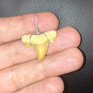 12 Shark Teeth Fossil Pendant Collection - Nautical Jewelry, Fossil Shark Tooth Necklace, Beach Lover Gift -bulk sale