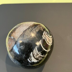 Orthoceras Sphere, fossil Sphere Orb Ball, Orthoceras Crystal Sphere, Genuine  othoceras sphere Ancient Orthoceras Fossil Sphere lover Gift