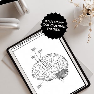 Human Anatomy Colouring Page the Brain Printable Nurse Resource Human ...