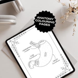 Anatomy colouring pages Human Body coloring sheet JPG Body Systems Nursing Colouring Book Anatomy printable Human Organ