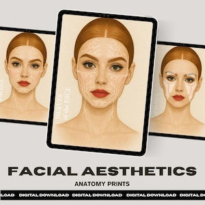 Face Anatomy Poster, Botox and Filler, Aesthetics Wall Art, Aesthetics Training Illustrations, Facial Anatomy Drawings, Anatomy Diagrams