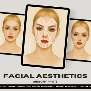 Facial Anatomy Bundle, Botox and Filler, Facial Muscles, Facial Nerves, Facial Arteries, Facial Fat, Aesthetics injectors, Digital Download